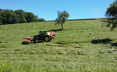 Un tracteur dans un champ