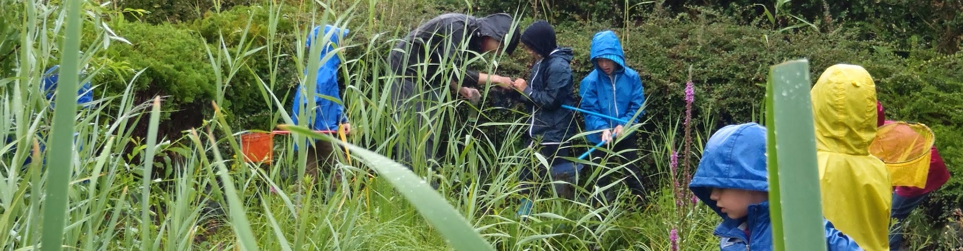 Enfants pendant une classes d'eau