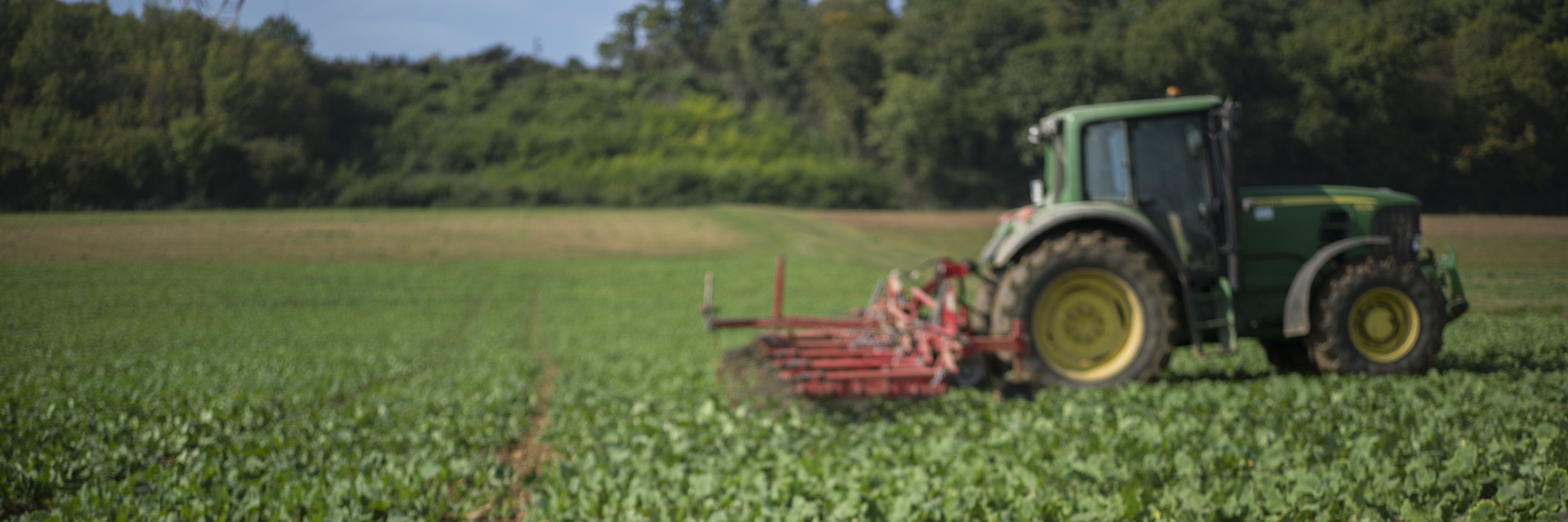 tracteur dans un champs