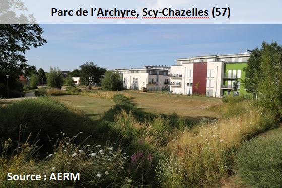 Parc de l'Archyre