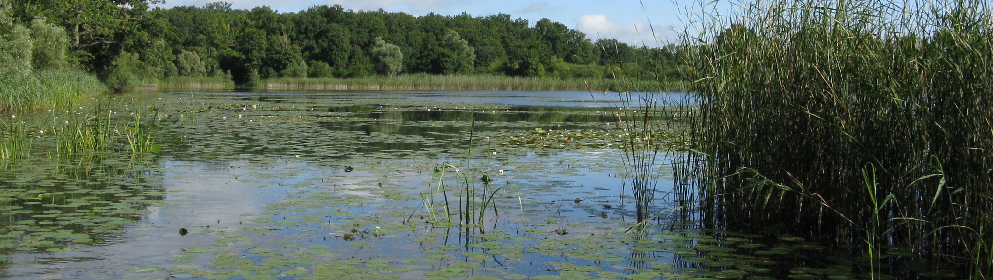 visuel : plan d'eau