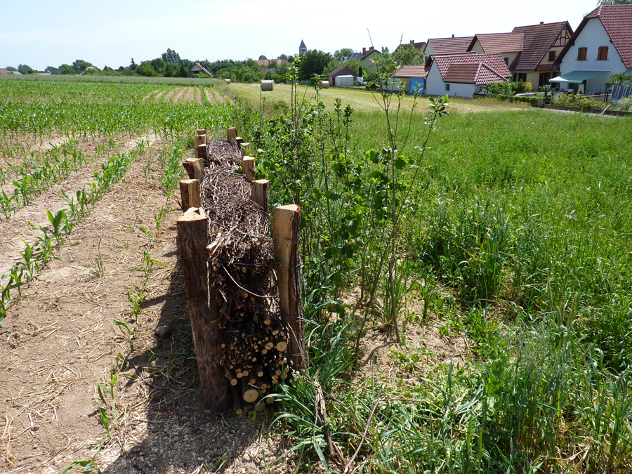 chantier de réalisation de retenue de boues