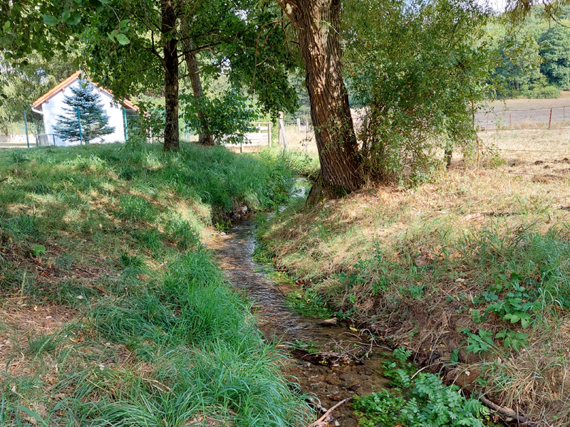 Cours d'eau