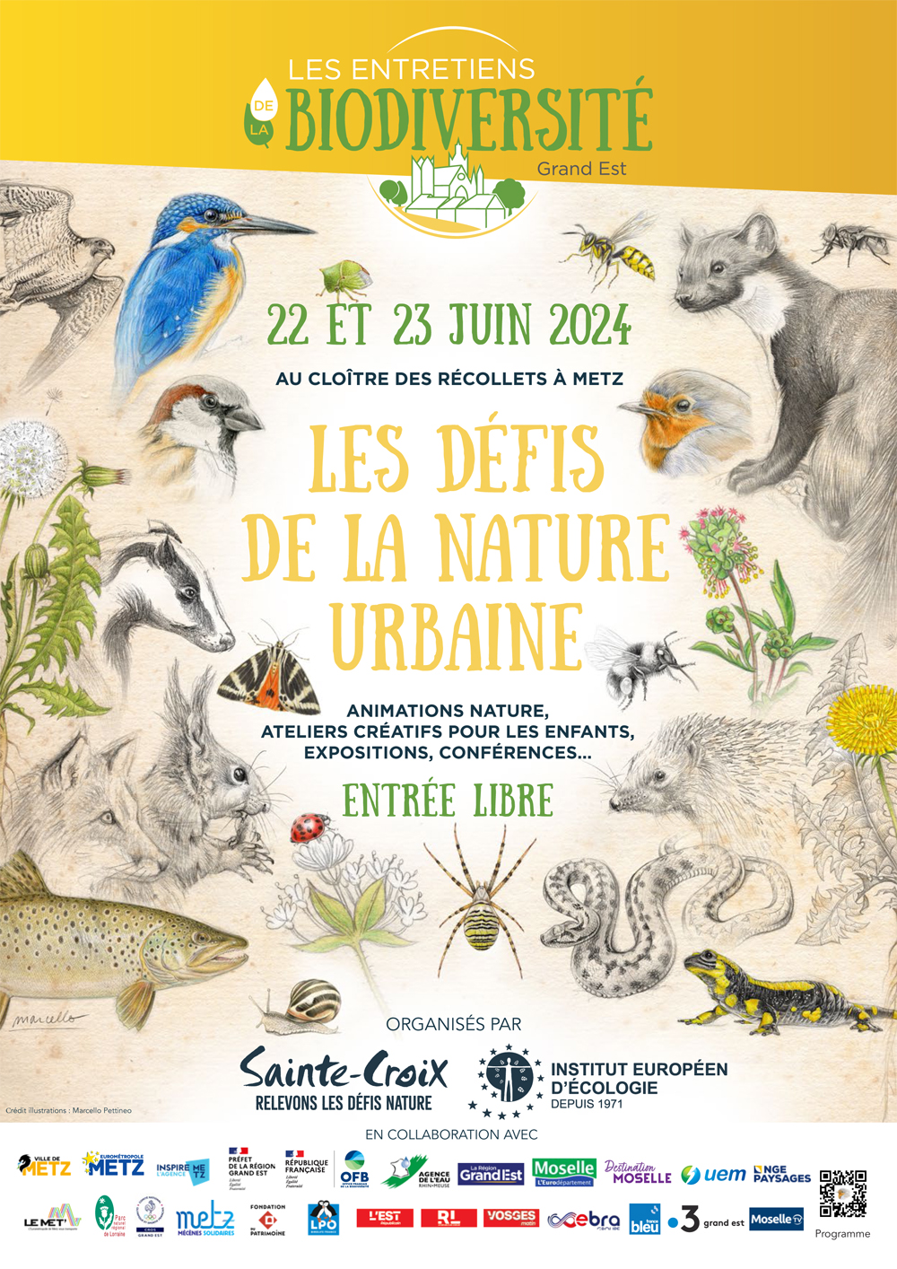 Affiche biodiversité