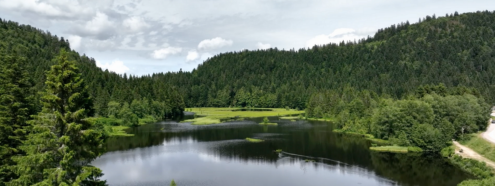 nature
