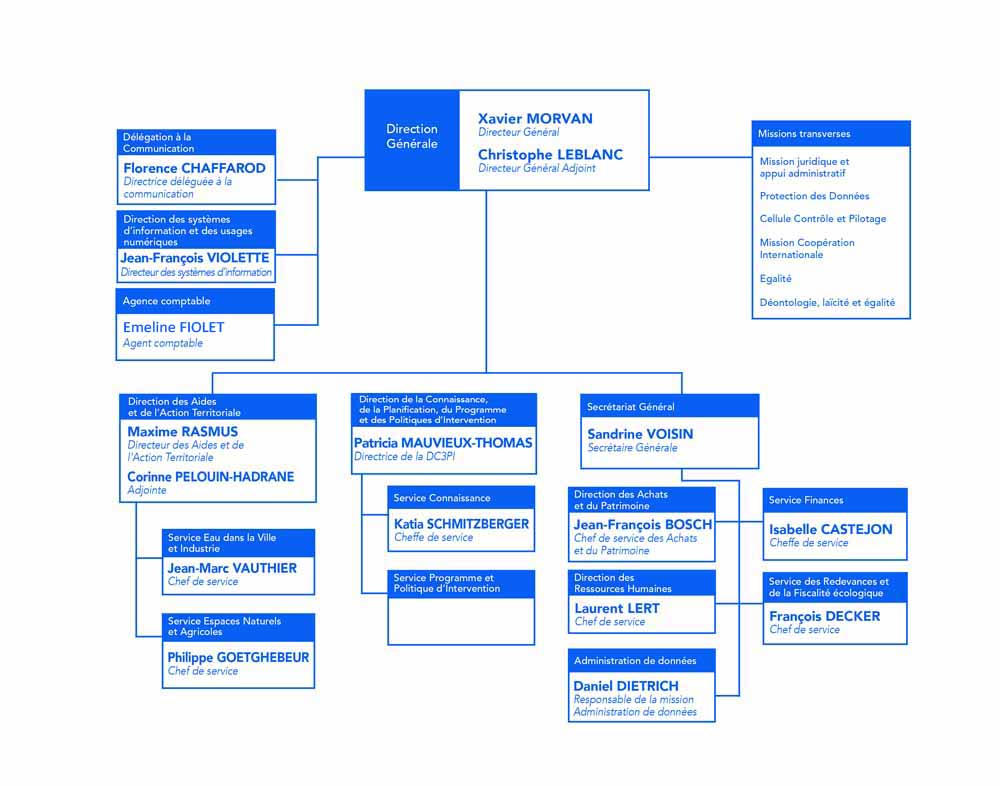 organigramme avril 2025