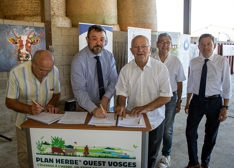 Signature Plan herbe Ouest Vosges