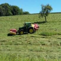 tracteur dans un champs