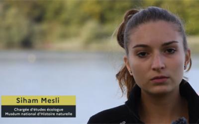 Siham Mesli